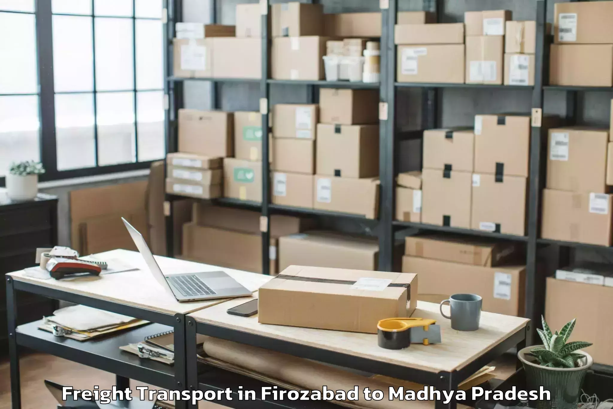 Reliable Firozabad to Kailaras Freight Transport